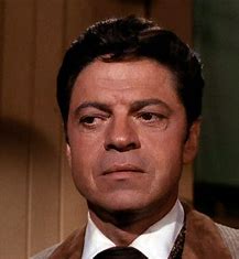 Ross Martin